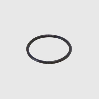 W&H WG-99 WK-93 LT LTS Head Cartridge O-Ring OEM dental part for dental electric handpiece repair from Premium Handpiece Parts